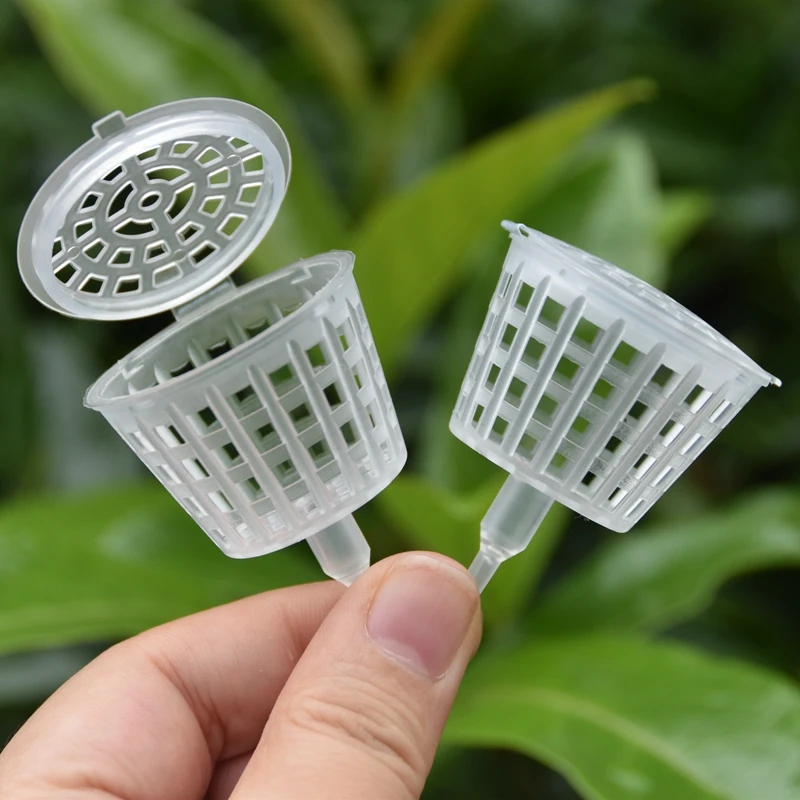 Bonsai Garden Of Ct - 20/50個入り肥料バスケット、蓋付き、植物植木鉢肥料ボックス、盆栽自動施肥容器ガーデンツール