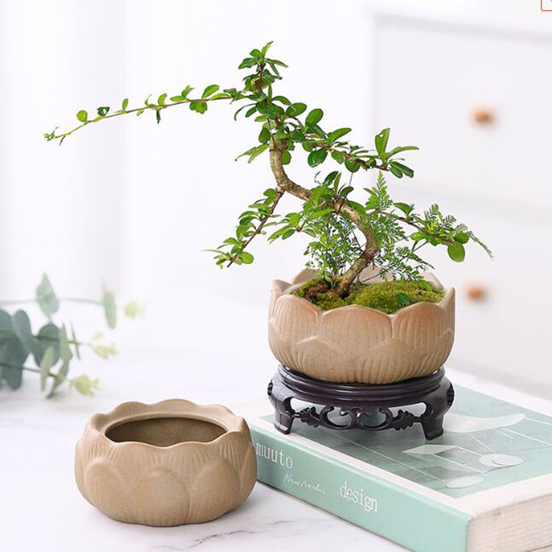 Bonsai Garden Art - 粗い蓮の緑の植木鉢,盆栽,通気性のある容器,ガーデニング,芸術的な盆地,家の装飾