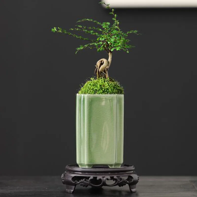 Bonsai Garden Art - 磁器製正方形の青磁釉薬蘭の花瓶盆栽鉢植え工芸品アート装飾品ホームガーデンデコレーション