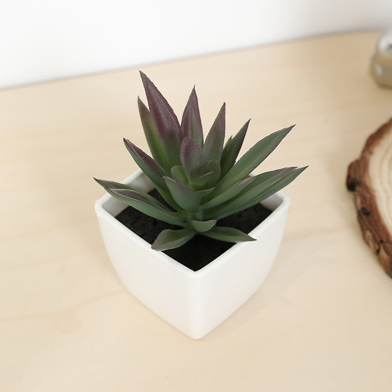 Bonsai Garden Mini - ミニ人工多肉植物フェアリーカップ小さな鉢植え、プラスチック製の白い花瓶、デスクトップ、窓辺、本棚の装飾