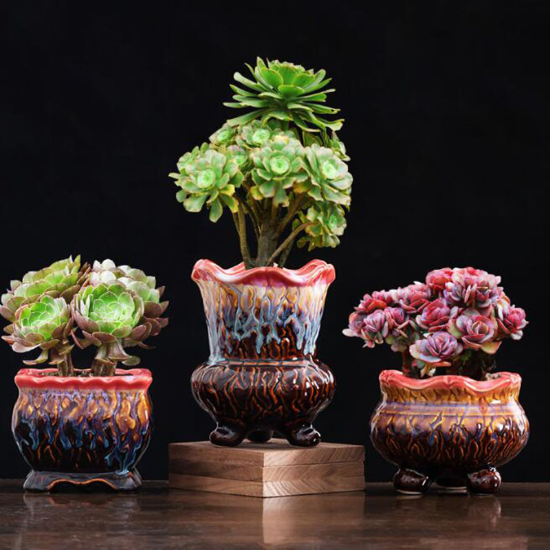 創造的な施釉植木鉢,多肉植物,盆栽ポット,緑の植物,通気性の - Bonsai Tree Zen Garden のレビューと価格