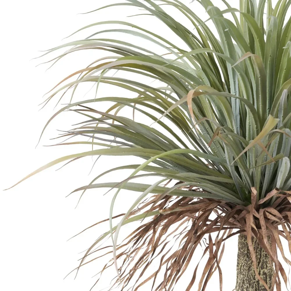 #   ホットセール人工プラスチック卓上ユッカ植物ルームデコ - Bonsai Garden Festival のレビューと価格
