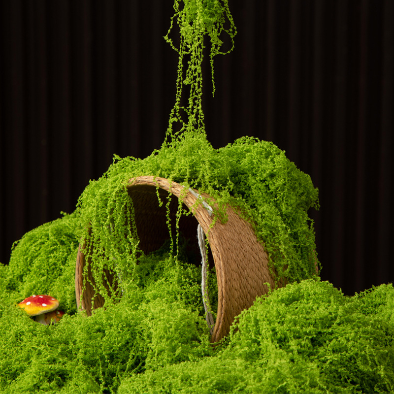 200 グラム永遠の命苔 DIY 工芸品草人工緑植物ホームル - Bonsai Garden Mini のレビューと価格