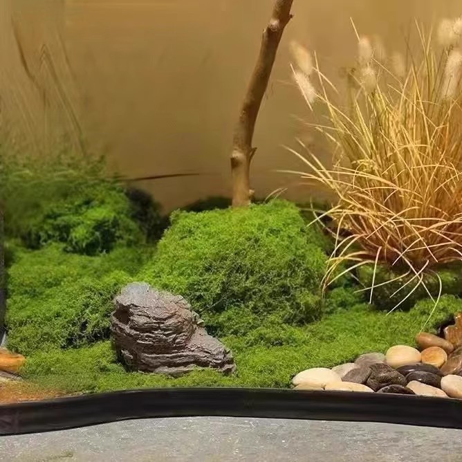 200 グラム永遠の命苔 DIY 工芸品草人工緑植物ホームル - Bonsai Garden Mini のレビューと価格