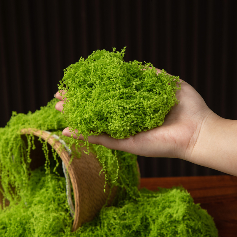 200 グラム永遠の命苔 DIY 工芸品草人工緑植物ホームル - Bonsai Garden Mini のレビューと価格
