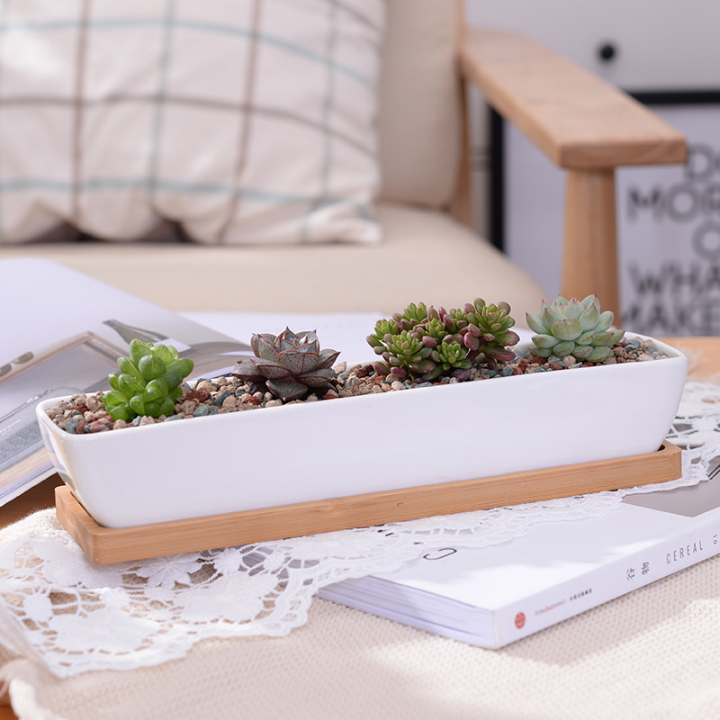長い長方形の白いセラミック多肉植物プランターポット、竹トレイ - Bonsai Tree Zen Garden のレビューと価格