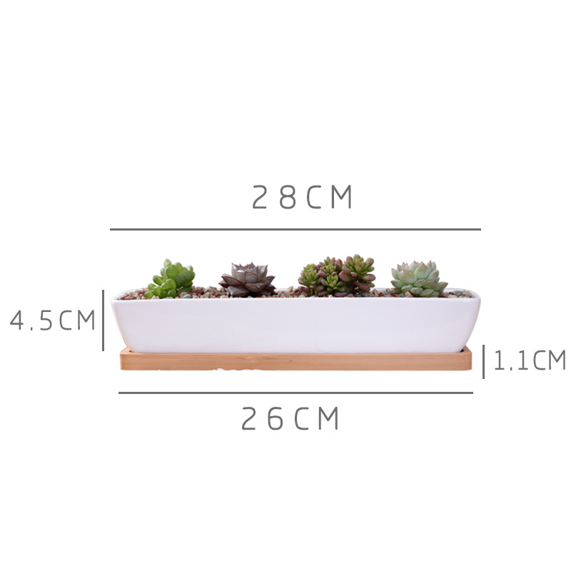長い長方形の白いセラミック多肉植物プランターポット、竹トレイ - Bonsai Tree Zen Garden のレビューと価格