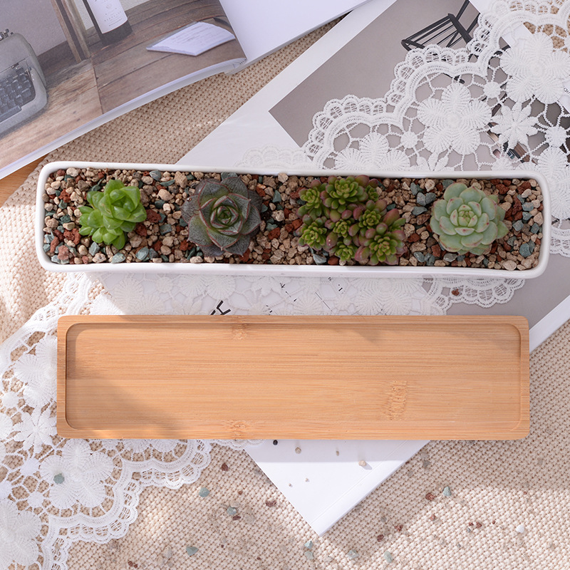 長い長方形の白いセラミック多肉植物プランターポット、竹トレイ - Bonsai Tree Zen Garden のレビューと価格