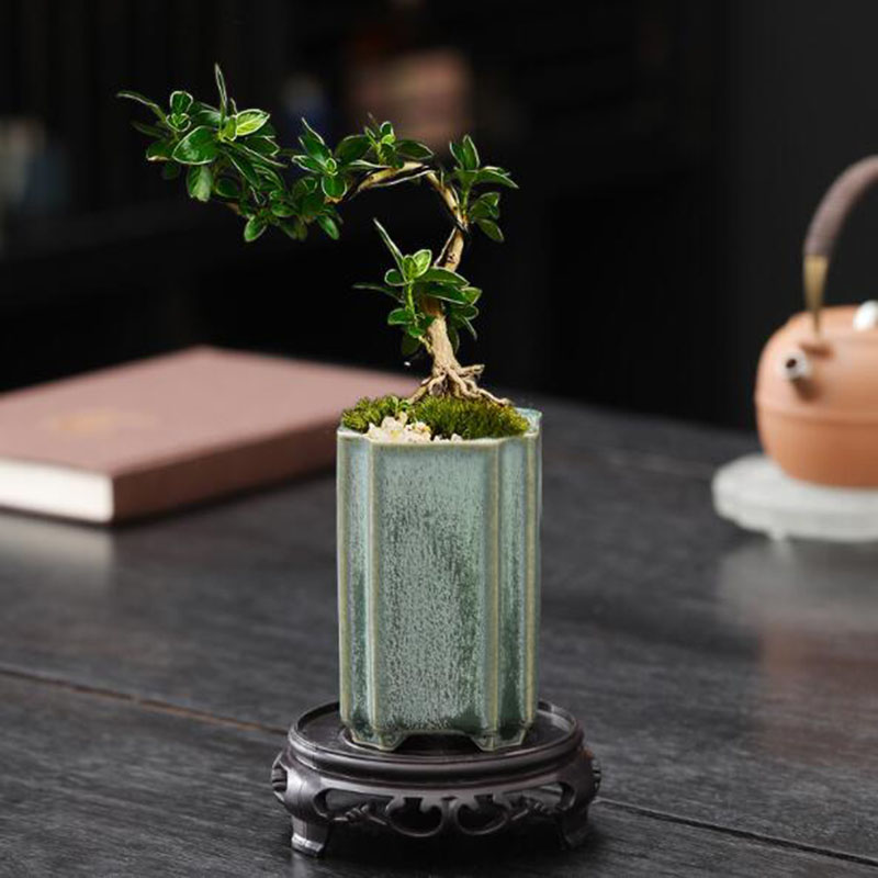 磁器正方形青磁釉蘭植木鉢盆栽花瓶植木鉢工芸品アート装飾品家の - Bonsai Garden Art のレビューと価格