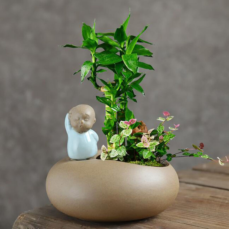中国風のレトロセラミック僧侶植木鉢多肉植物ポット盆栽花瓶デス - Bonsai Garden Art のレビューと価格