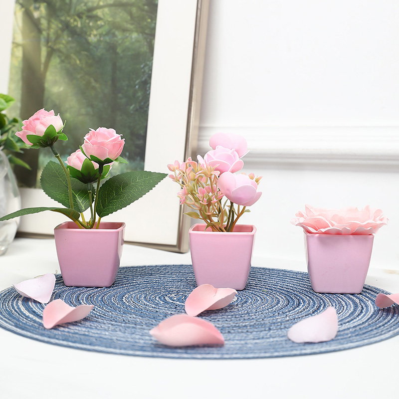 (3 個セット) 家、レストラン、テーブルトップ、窓辺、本棚 - Bonsai Garden Mini のレビューと価格
