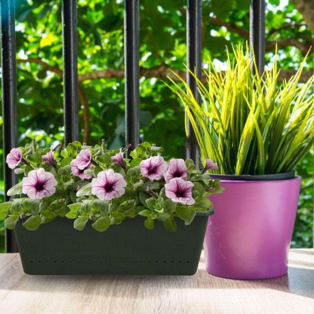 1/3個入り植栽ボックス、壁掛けグリーンフラワーポット、盆栽 - Bonsai Vertical Garden のレビューと価格