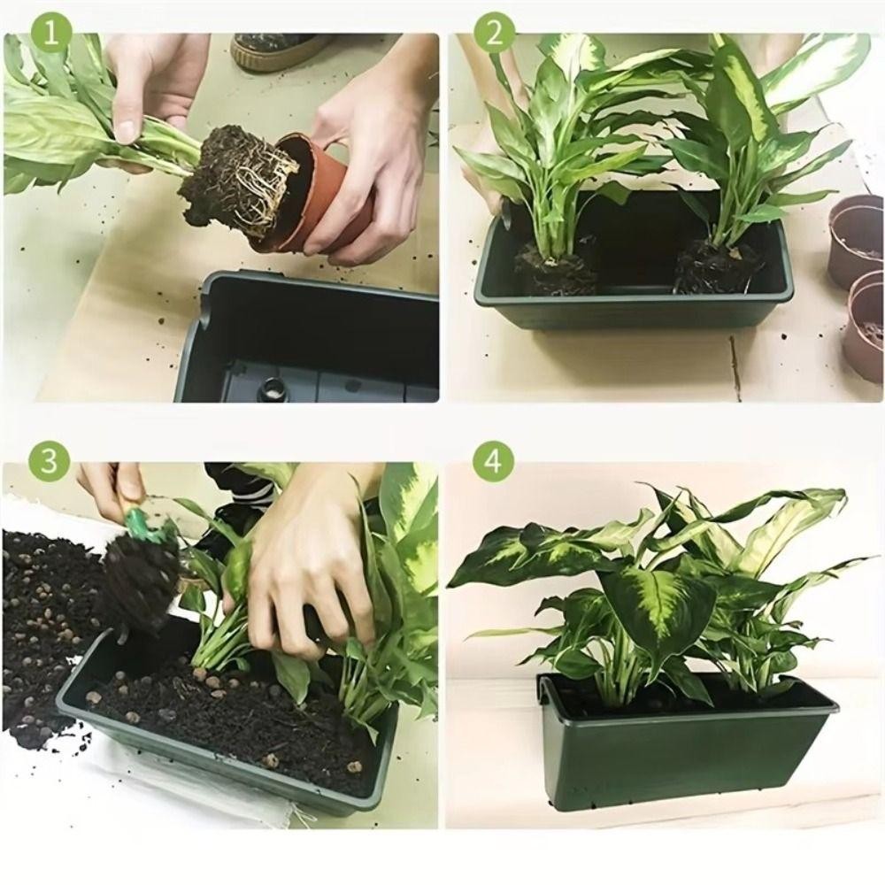 1/3個入り植栽ボックス、壁掛けグリーンフラワーポット、盆栽 - Bonsai Vertical Garden のレビューと価格