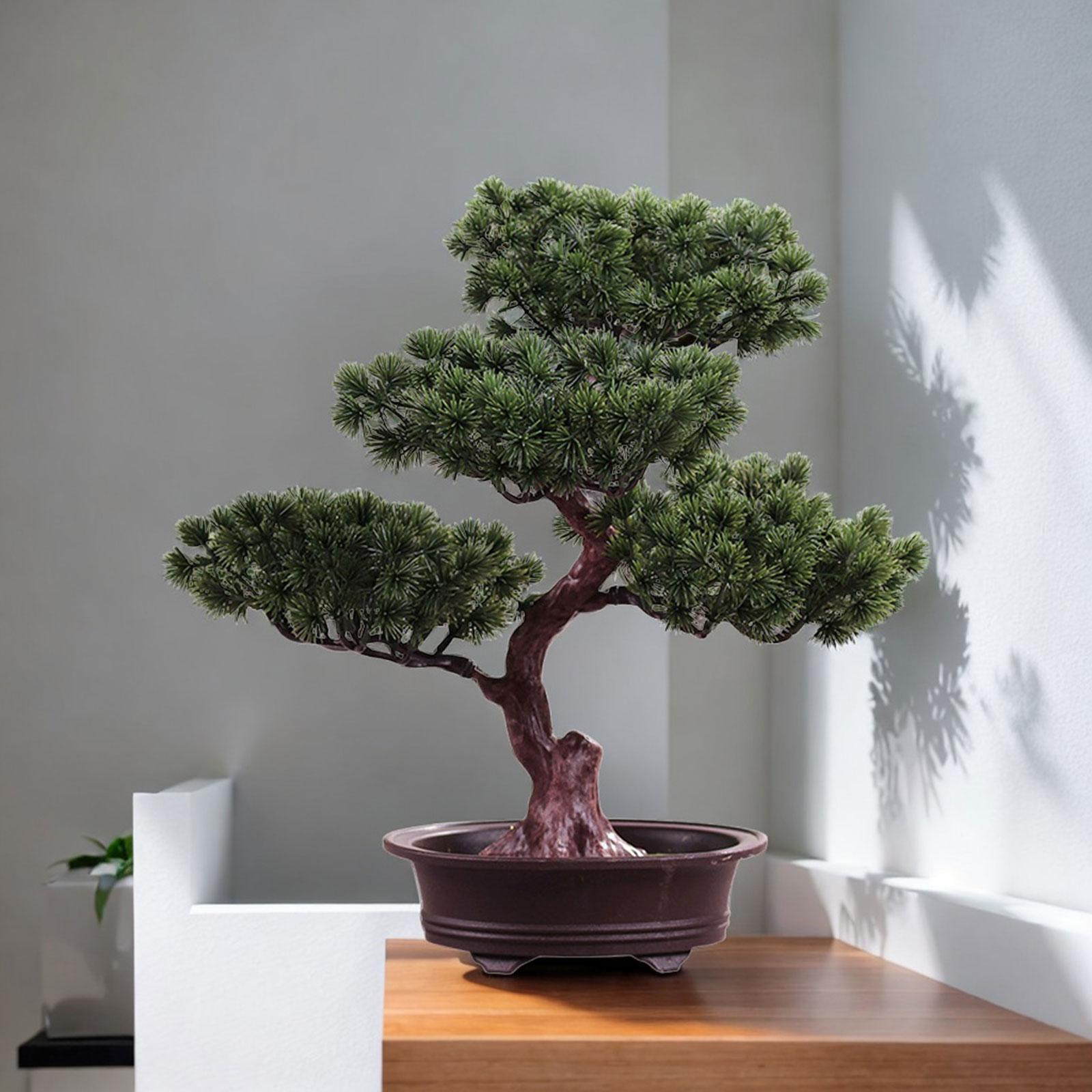 人工盆栽偽の木鉢植え緑の装飾デスクトップディスプレイリビング - Bonsai Tree Zen Garden のレビューと価格