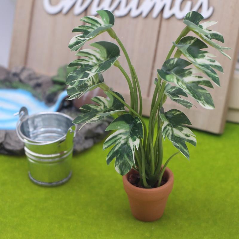 新品。1個入り 1/12 ドールハウス シミュレーション モ - Bonsai Garden Mini のレビューと価格
