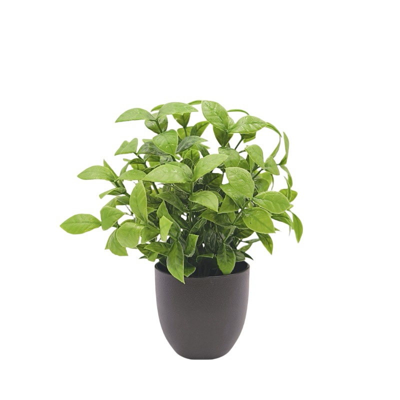 シミュレーショングリーンプラント盆栽　越境オフィスインテリア - Bonsai Garden Mini のレビューと価格