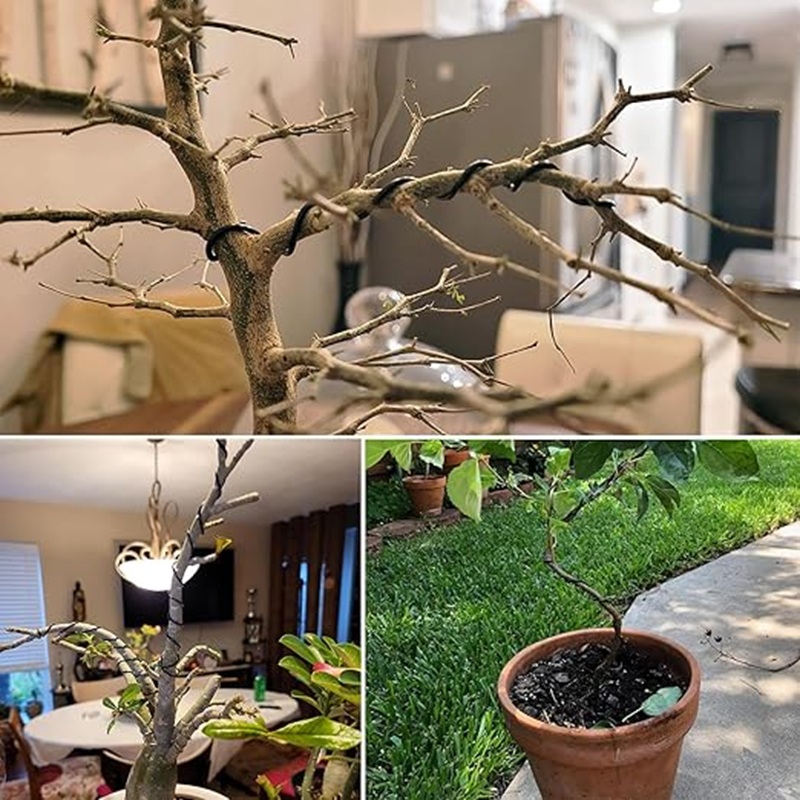 1mm黒色アルミ盆栽ワイヤー、30m柔軟な園芸ワイヤー、植物 - Bonsai Garden Art のレビューと価格