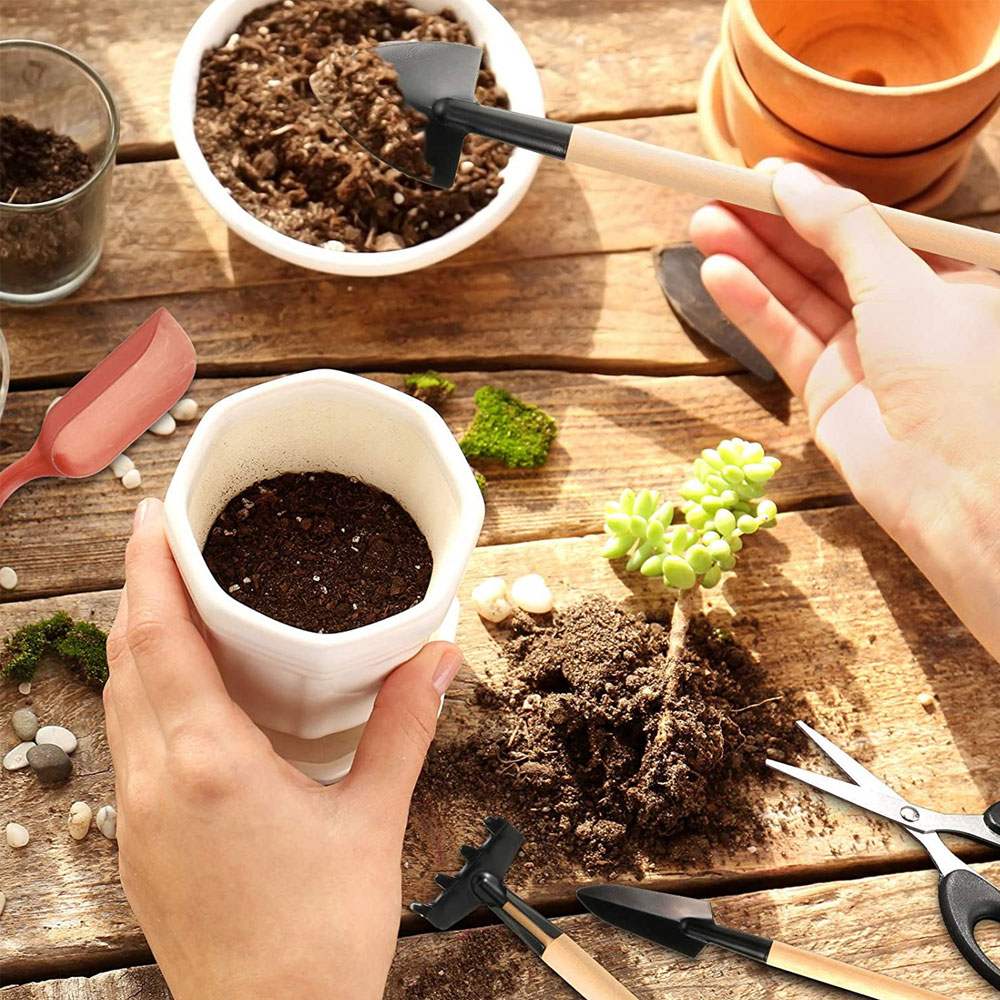 多肉植物ツールミニガーデンハンドツール金型屋外盆栽ガーデニン - Bonsai Garden Mini のレビューと価格